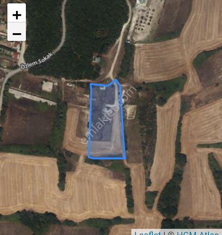 Balaban Göl Manzaralı Tarla - Görsel 2