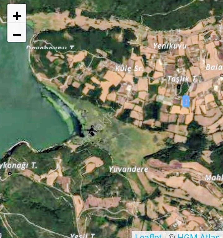 Balaban Göl Manzaralı Tarla - Görsel 3