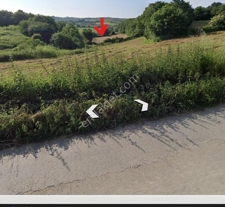 Tarla Satılık - Görsel 5