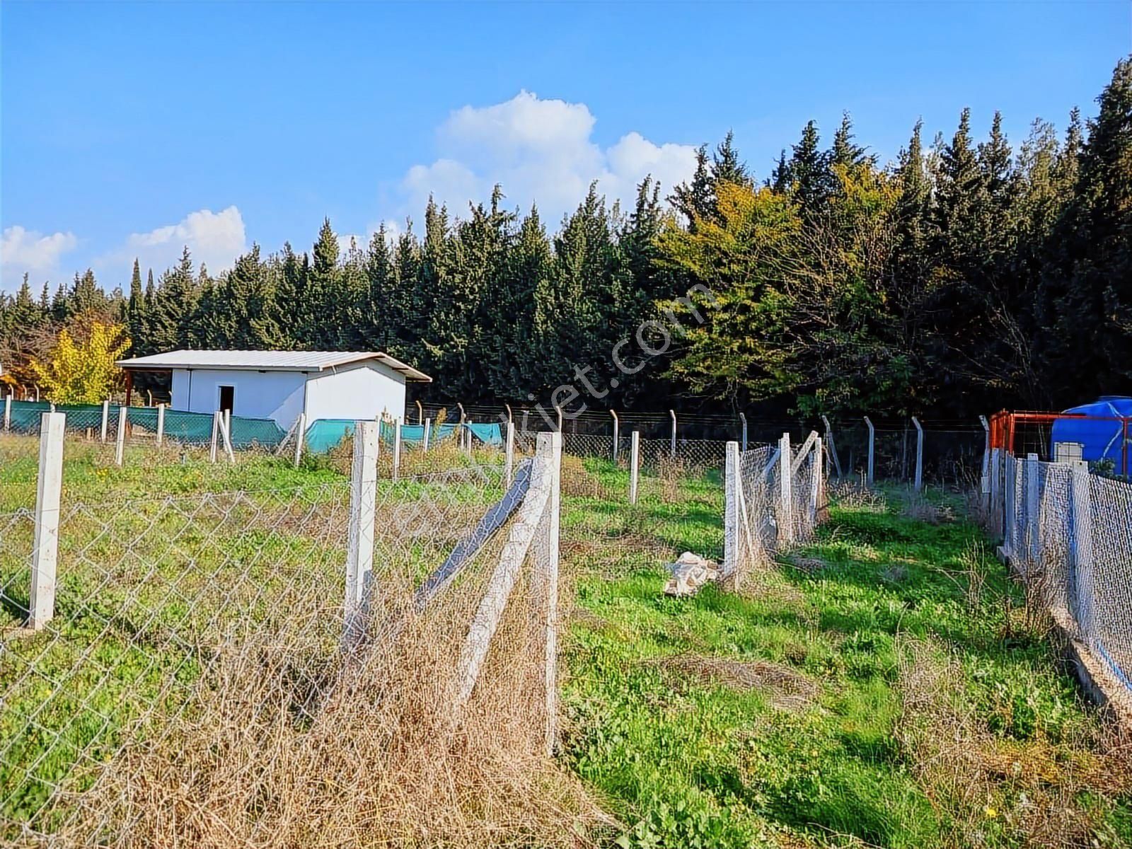 Menderes Develi Satılık Tarla Hisesi 297m2 - Görsel 9