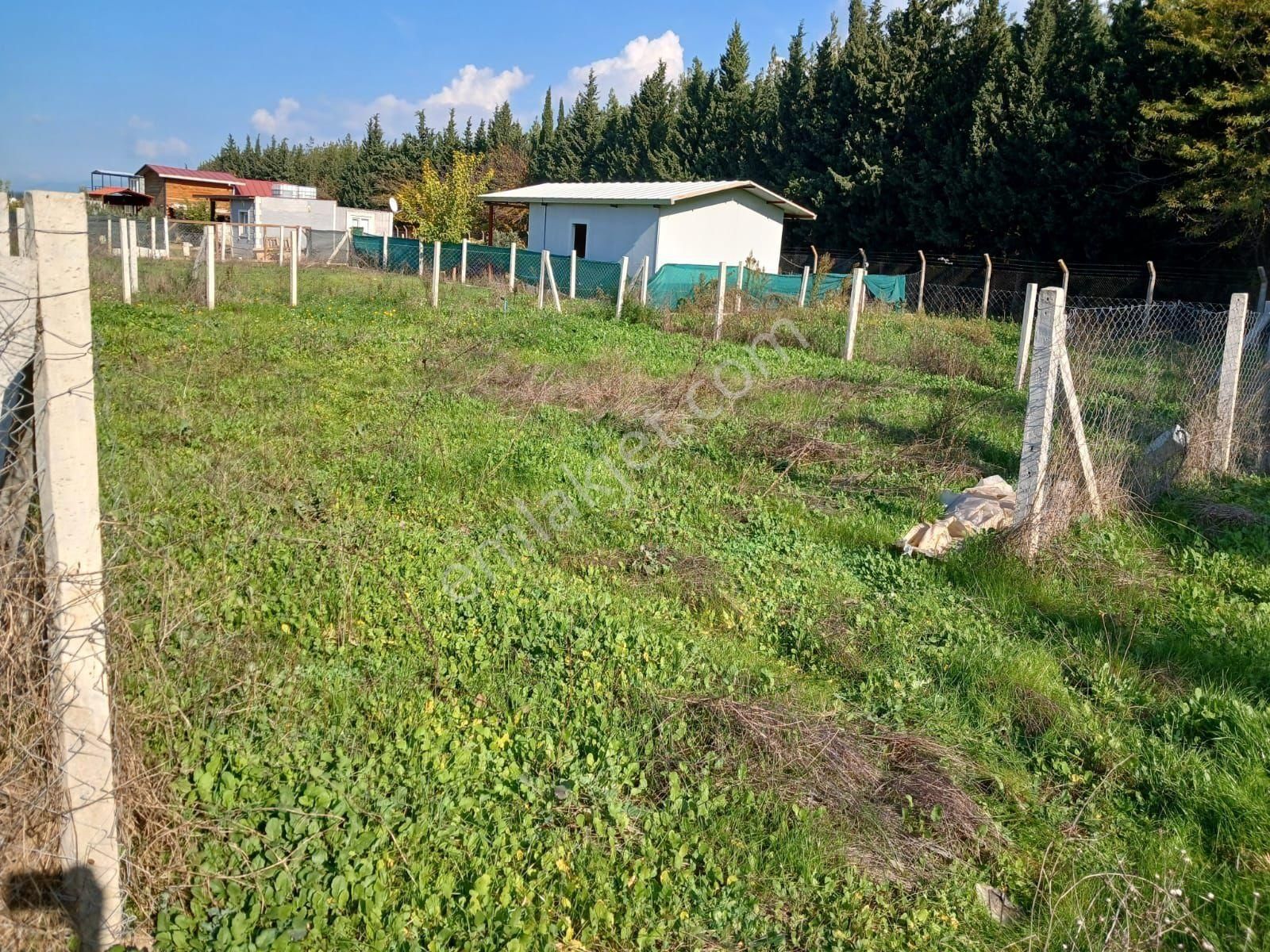 Menderes Develi Satılık Tarla Hisesi 297m2 - Görsel 12