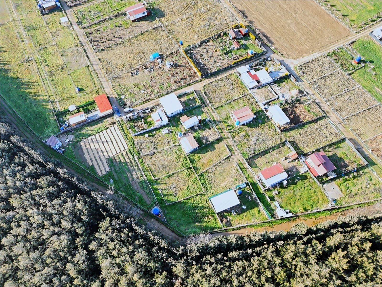 Menderes Develi Satılık Tarla Hisesi 297m2 - Görsel 13