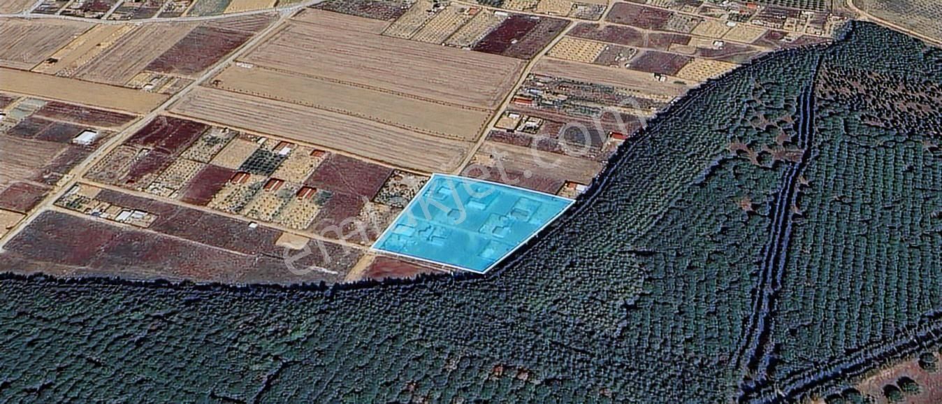 Menderes Develi Satılık Tarla Hisesi 297m2 - Görsel 10