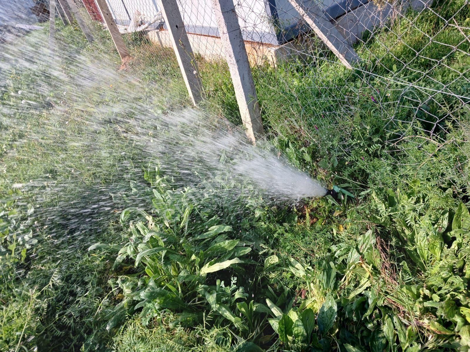 Menderes Develi Satılık Tarla Hisesi 297m2 - Görsel 19