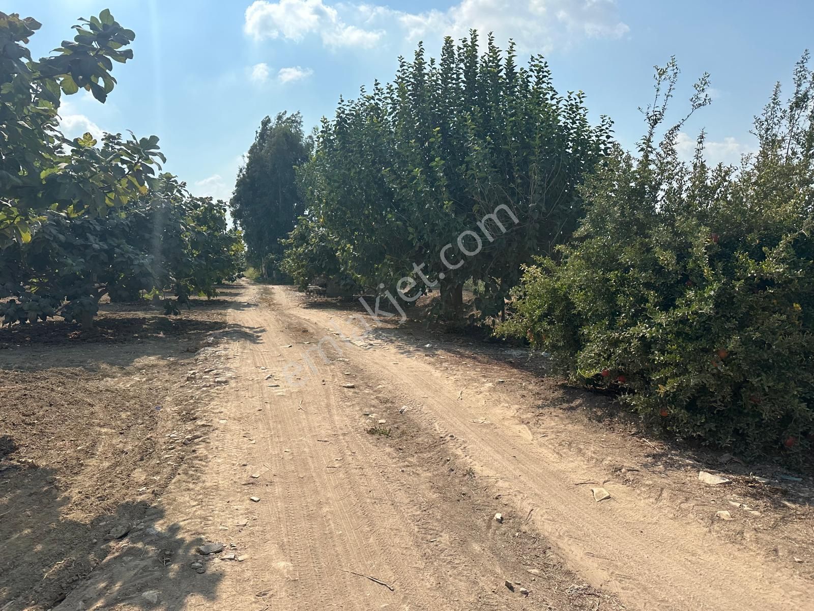 New Form'dan Akdeniz Bağlarbaşı Mah.nde Satılık 23.000 M2 Tarla - Görsel 15