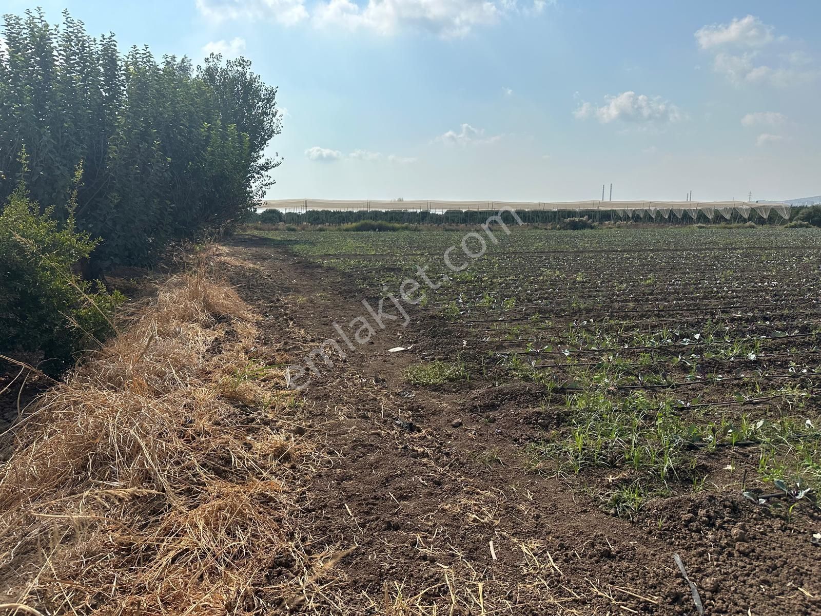 New Form'dan Akdeniz Bağlarbaşı Mah.nde Satılık 23.000 M2 Tarla - Görsel 5