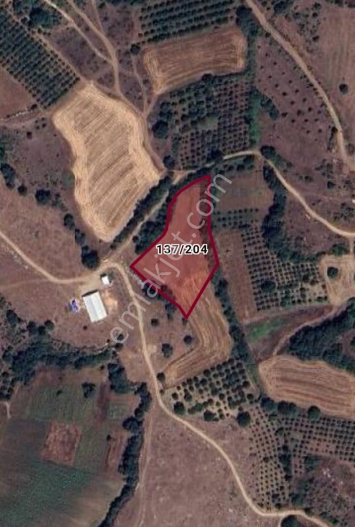 Bursa İnegöl Şehitler Mah 3.875.00m2 Satılık Tarla - Görsel 5