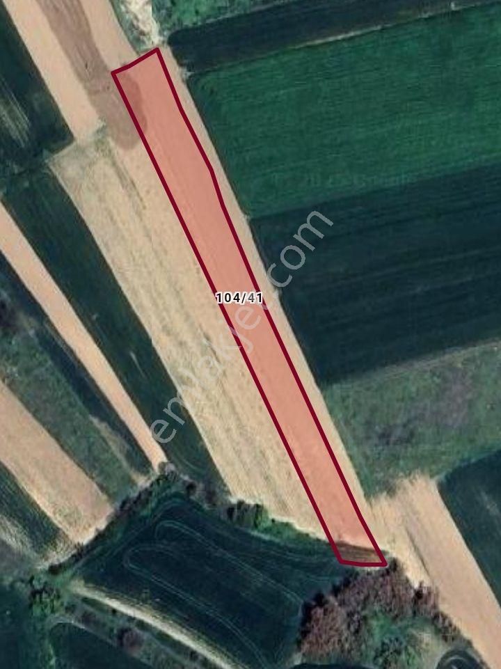 Bursa İnegöl Kozluca Mah Yolu Suyu Elektiriği Olan 2.500m2 Satılık Tarla - Görsel 3