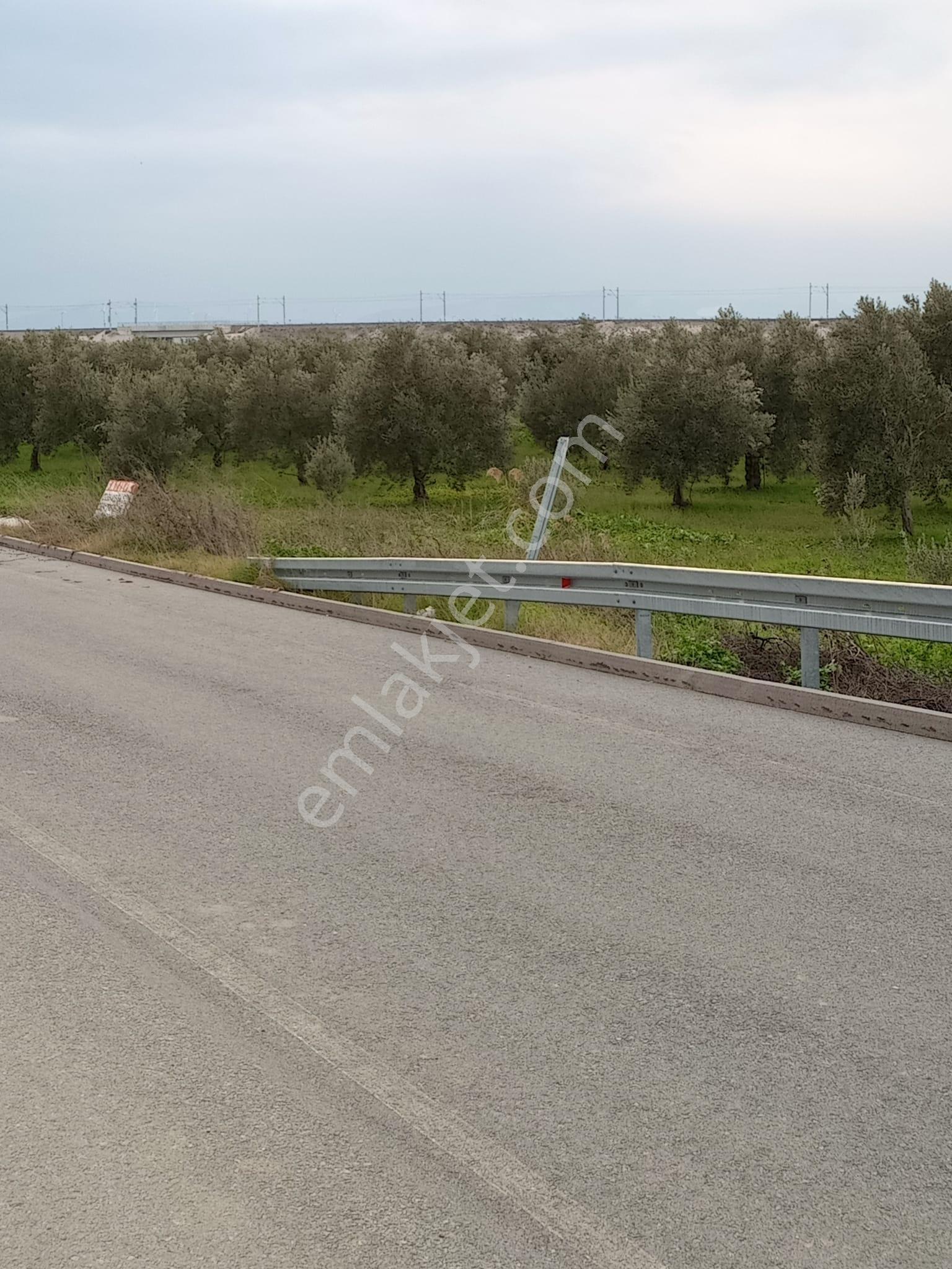 Manisa Akhisar Çevreyolu Kenarı Satılık Tarla - Görsel 26