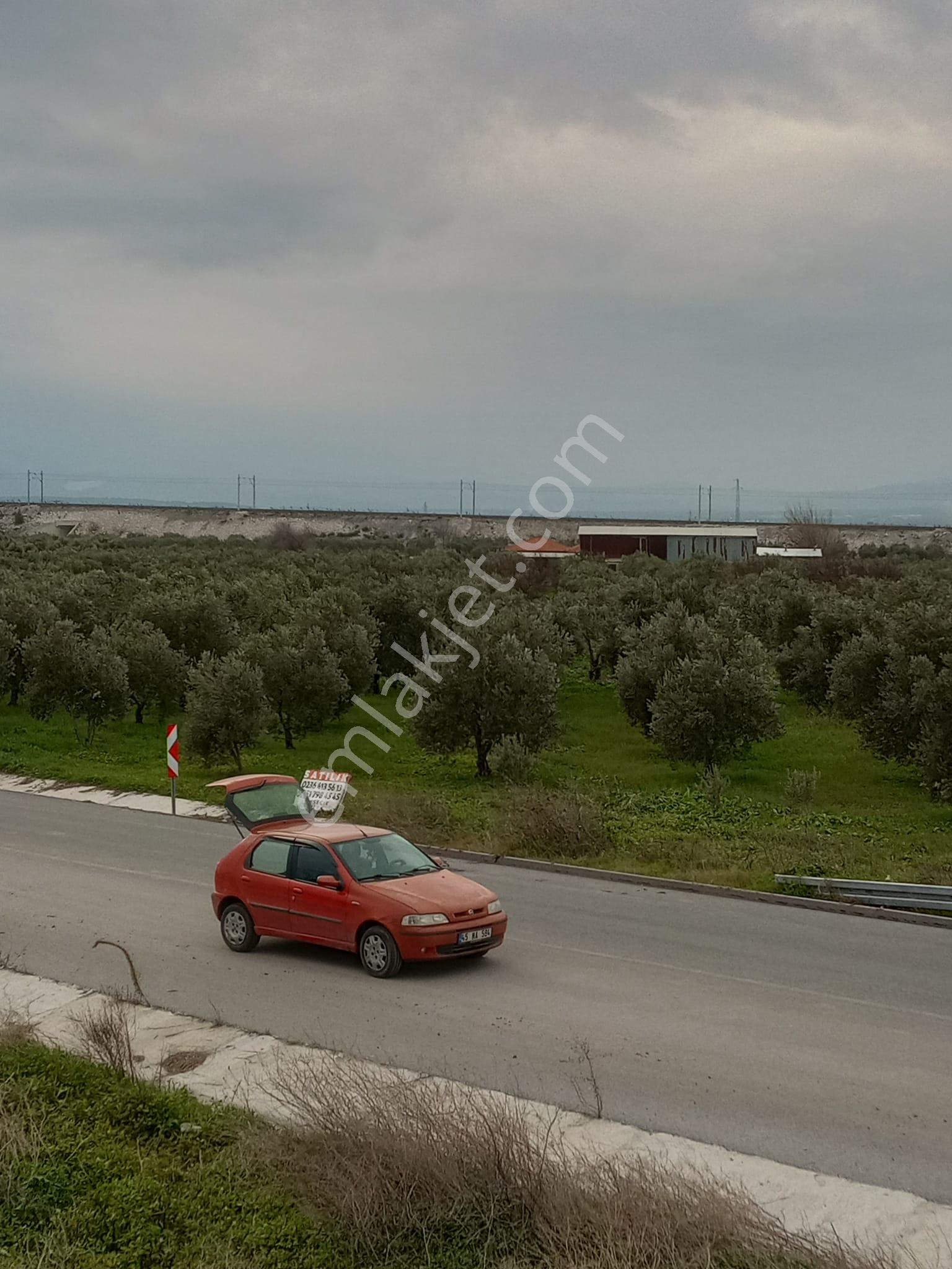 Manisa Akhisar Çevreyolu Kenarı Satılık Tarla - Görsel 23