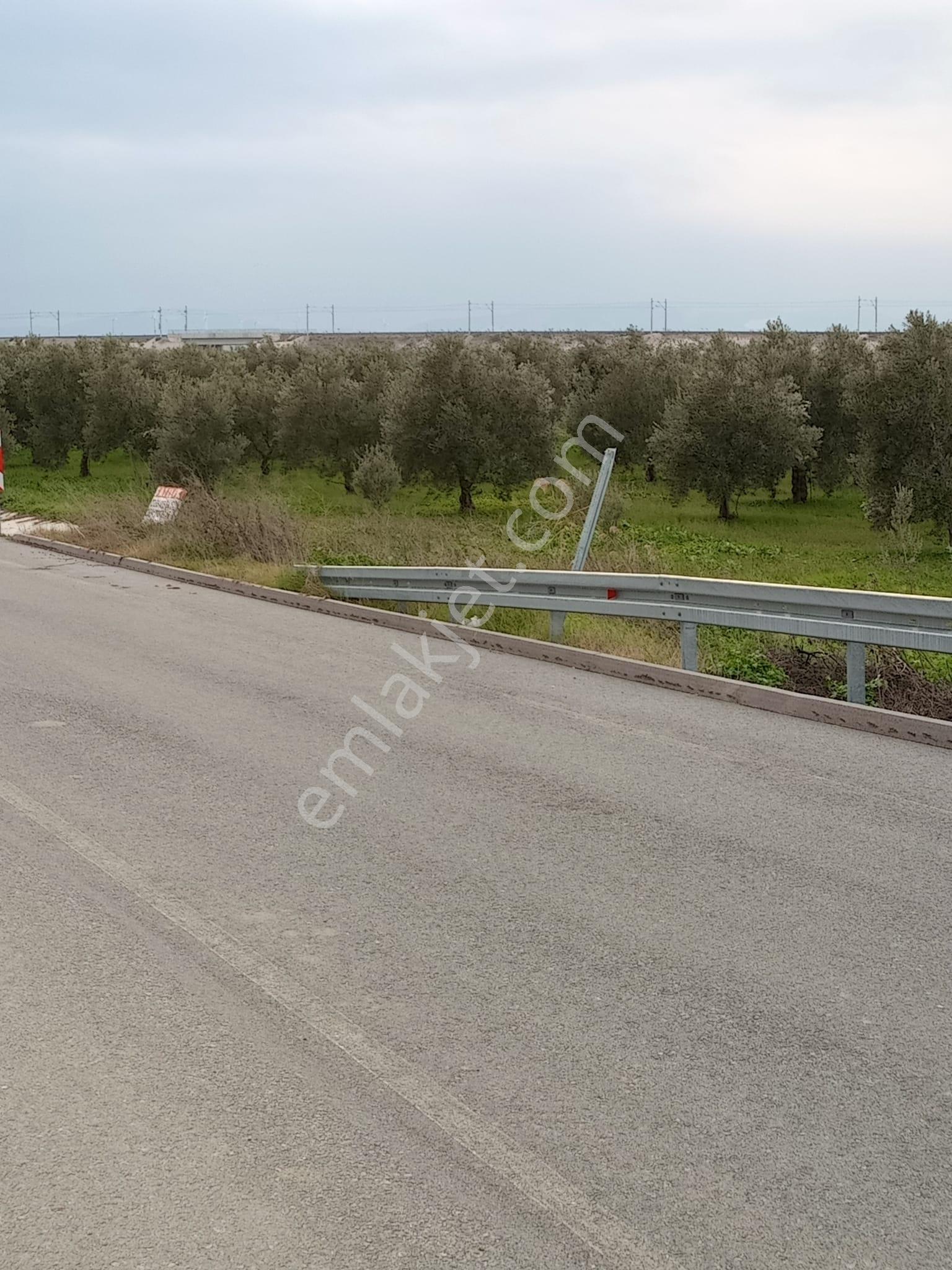Manisa Akhisar Çevreyolu Kenarı Satılık Tarla - Görsel 27