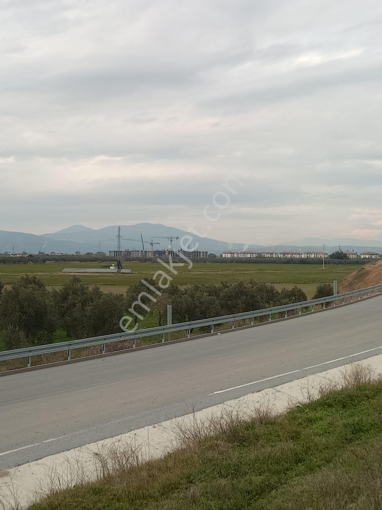 Manisa Akhisar Çevreyolu Kenarı Satılık Tarla - Görsel 21
