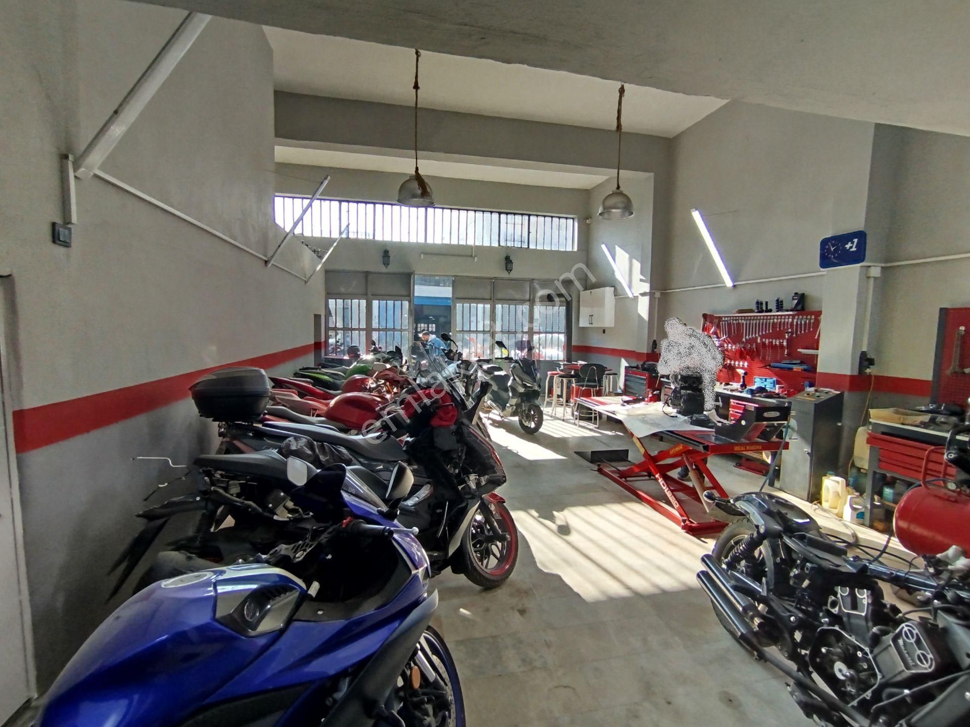 Nazilli Eski Sanayide, Müstakil, Kiracılı, Teraslı, Güney Cephe - Görsel 3