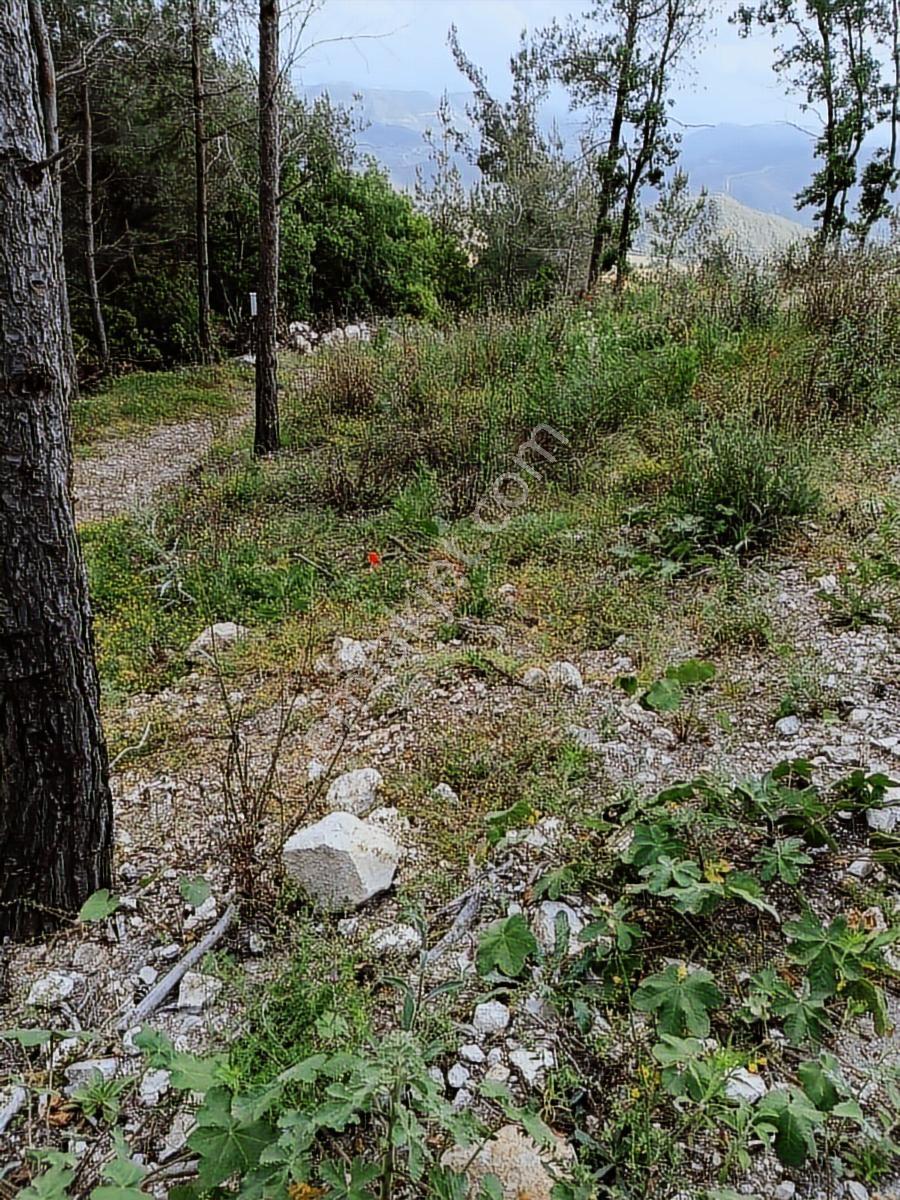 Oflaz Emlak'tan Satılık Yayladağı Çabalada Firsat Tarla Tek Tapu - Görsel 4