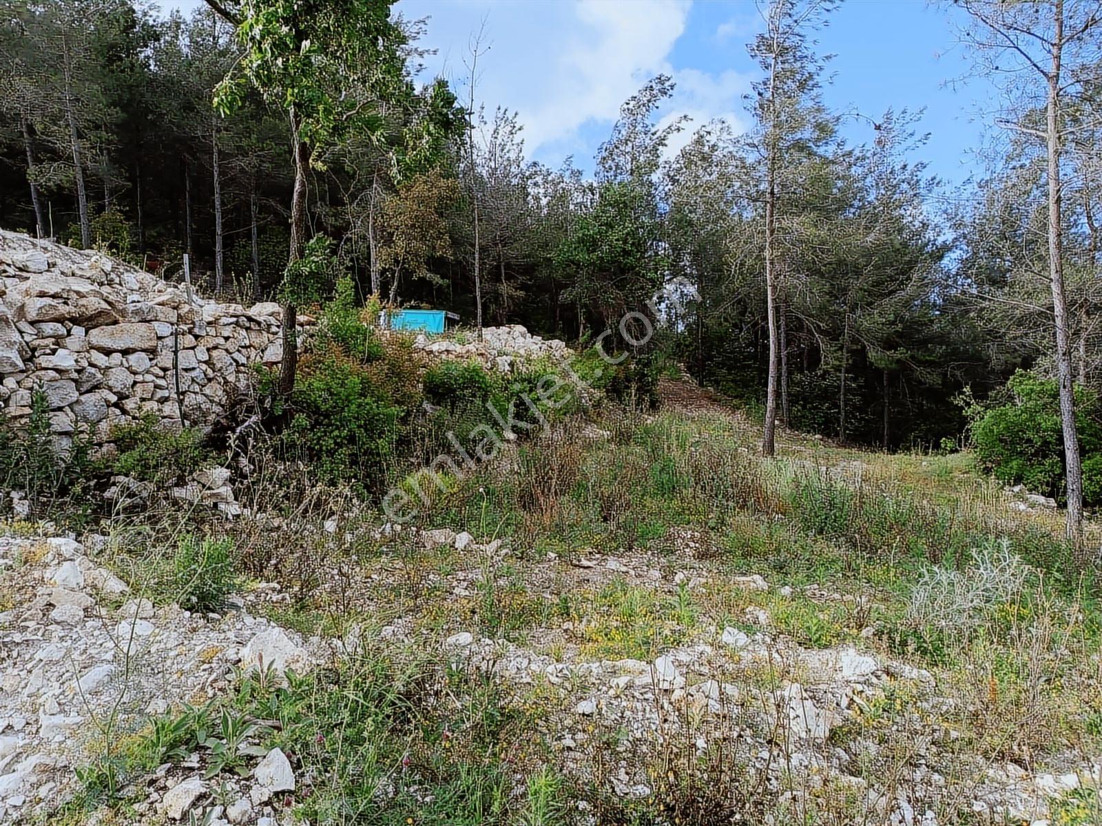 Oflaz Emlak'tan Satılık Yayladağı Çabalada Firsat Tarla Tek Tapu - Görsel 11