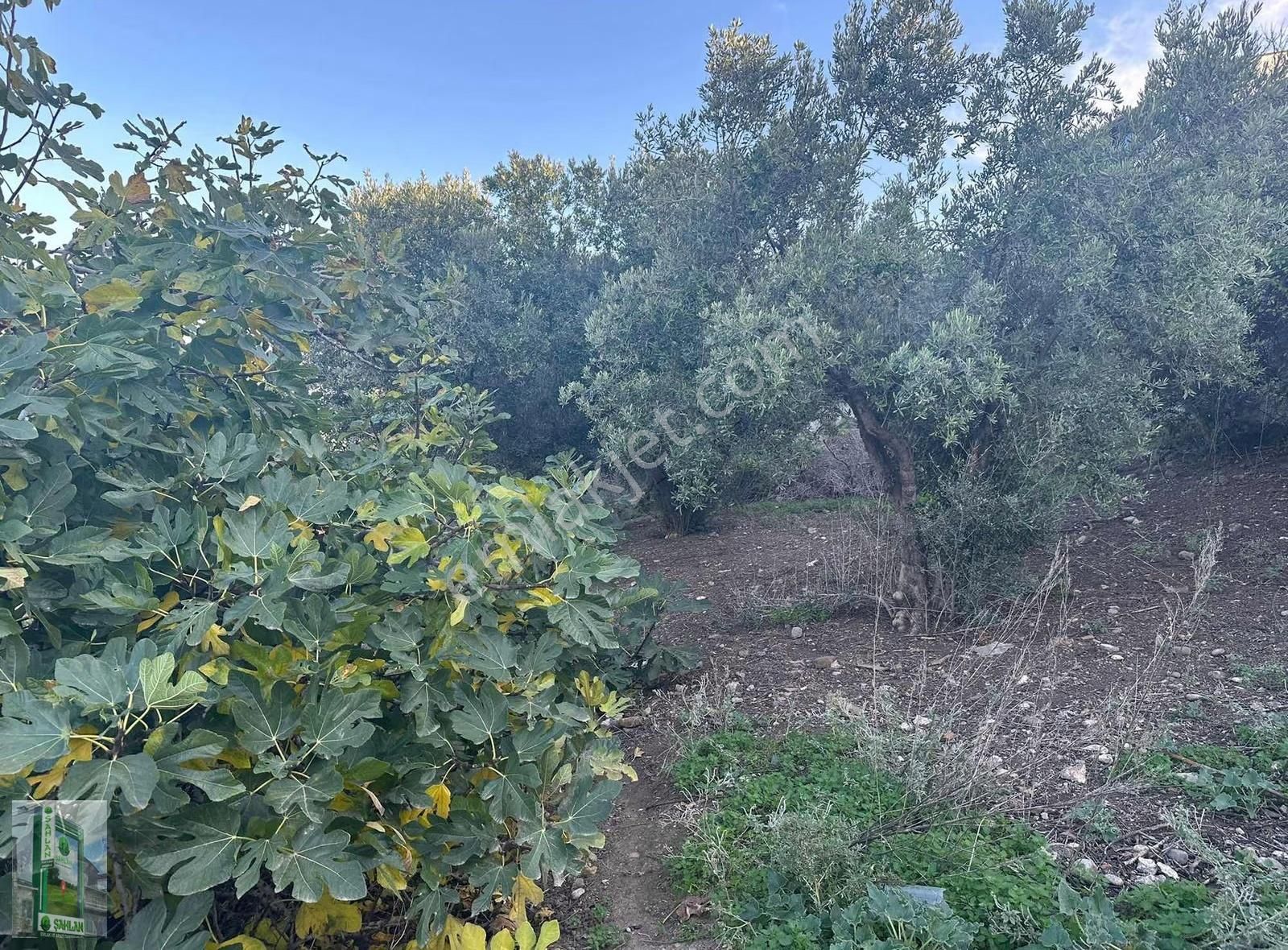 Şahlan Emlaktan Deniz Manzaralı 852 M2 Satılık Arsa - Görsel 6