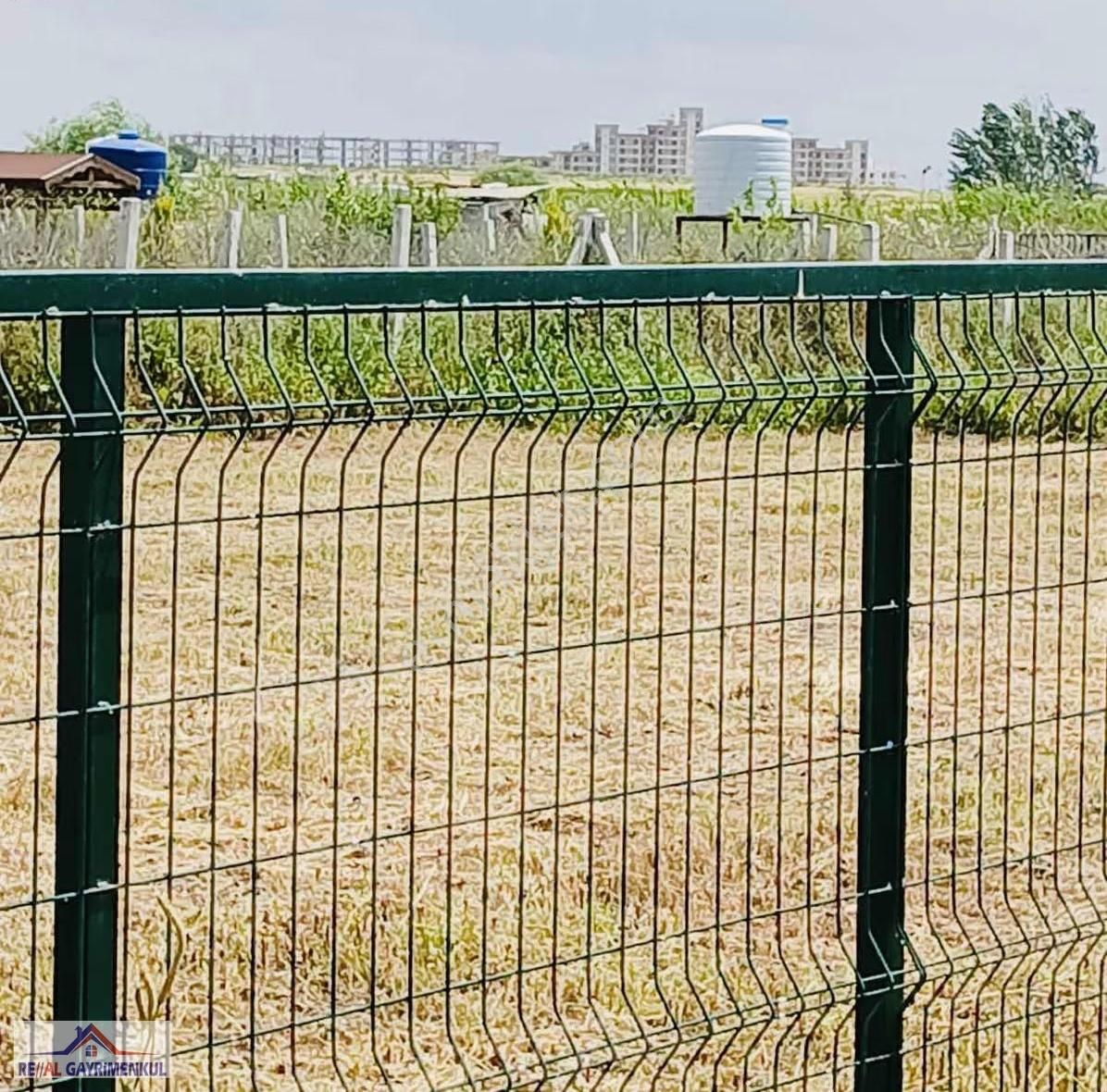 Real'den Oğlananasında 377 M2 Hisse Tapulu Tarla