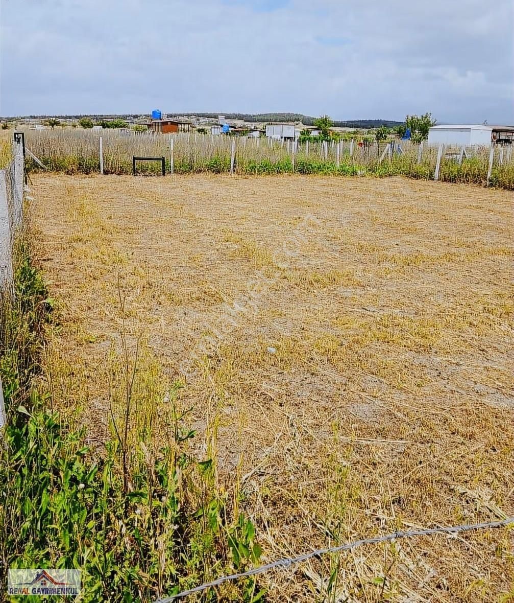 Real'den Oğlananasında 377 M2 Hisse Tapulu Tarla - Görsel 8