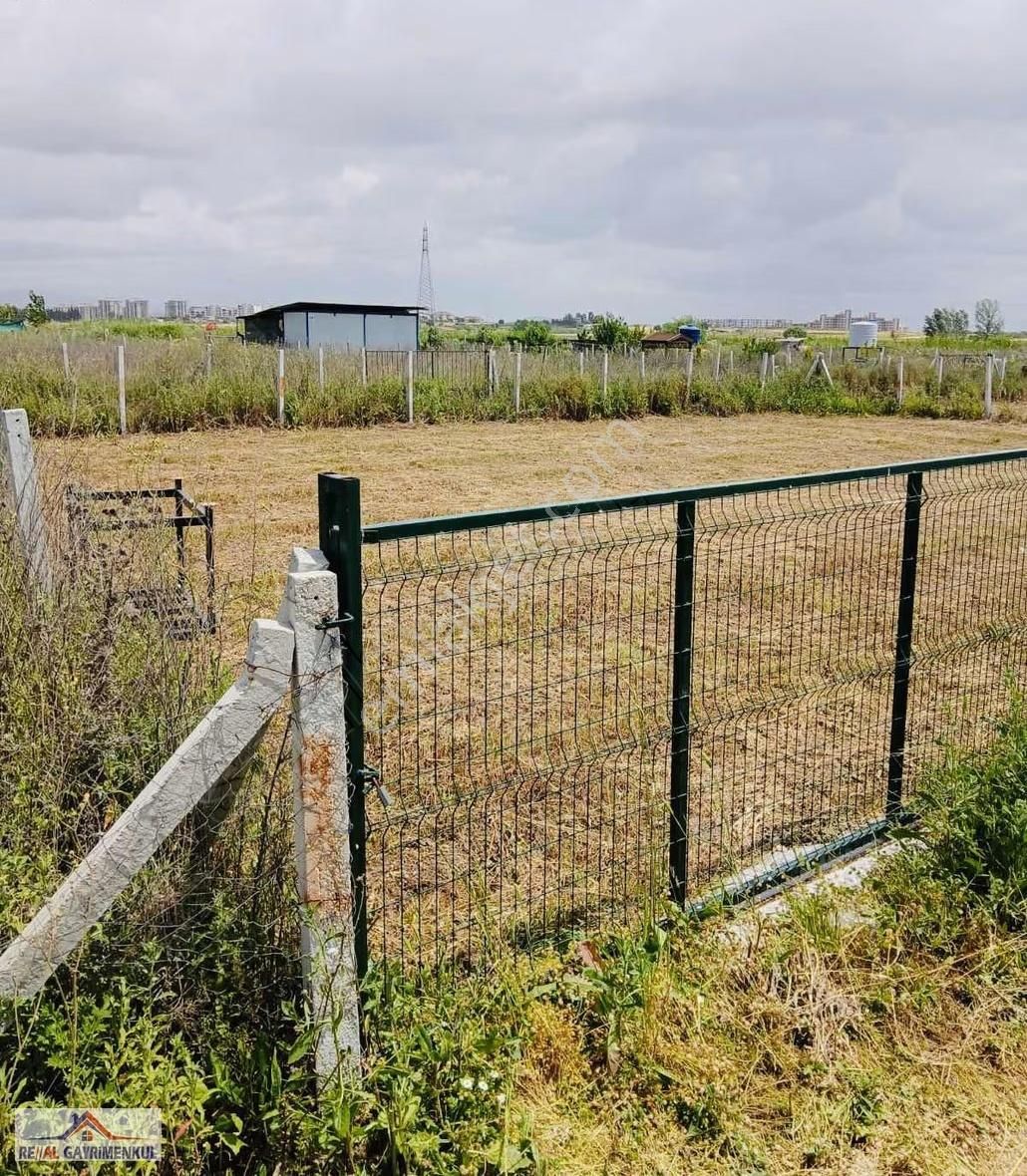 Real'den Oğlananasında 377 M2 Hisse Tapulu Tarla - Görsel 6