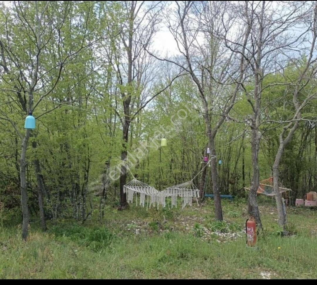 Silivri Danamandırada Catır Ve Kamp Alanı Satılıktır - Görsel 13