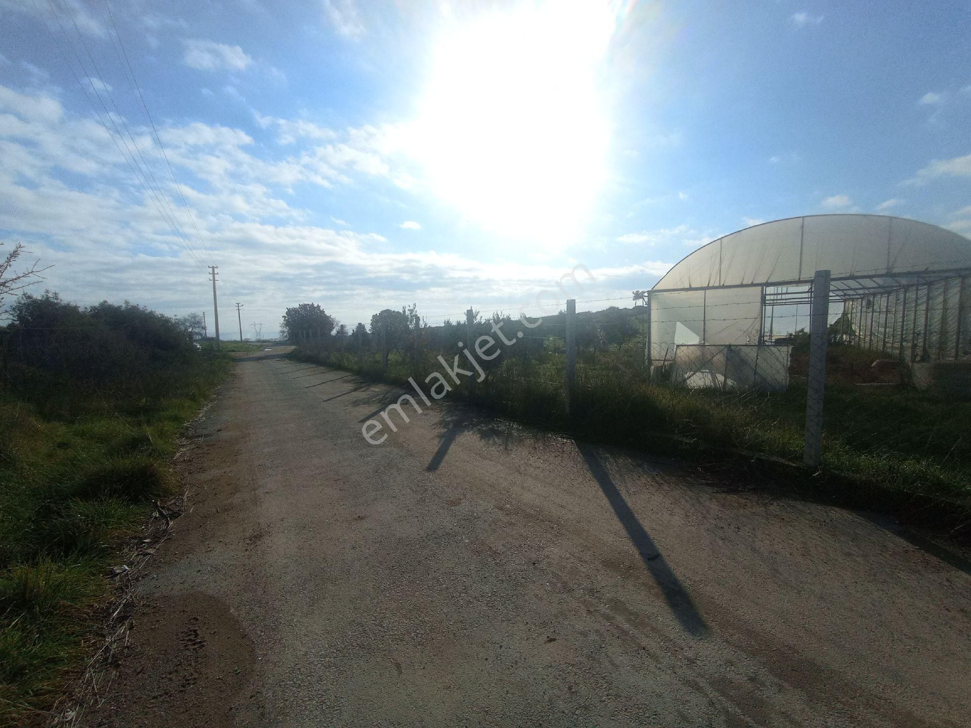 Menderes Dereköy Mah 1300 M2 İcinde Evi Olan - Görsel 18