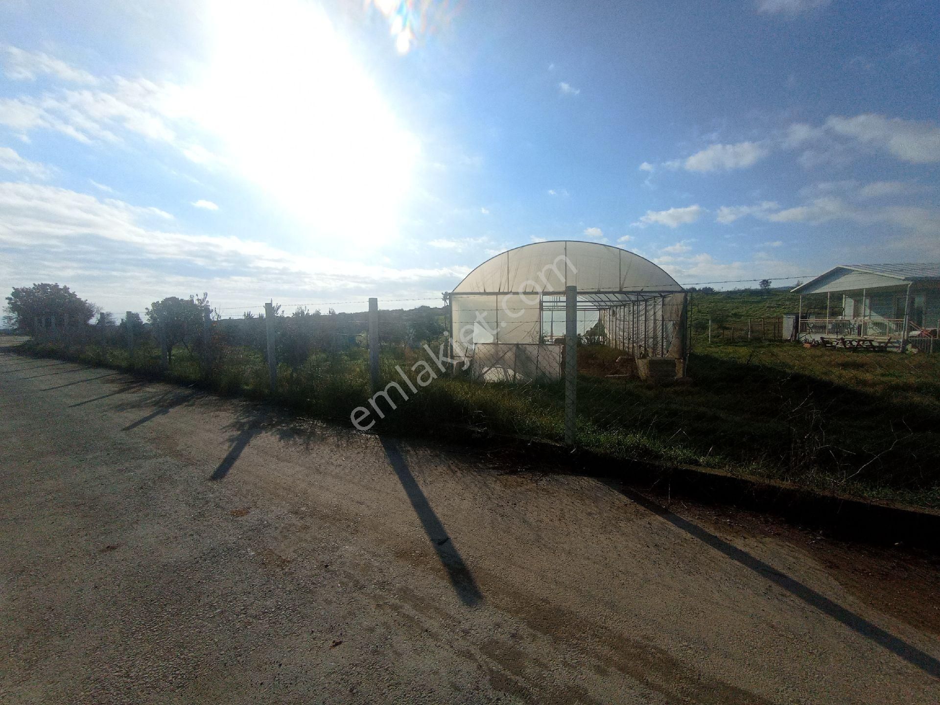 Menderes Dereköy Mah 1300 M2 İcinde Evi Olan - Görsel 22