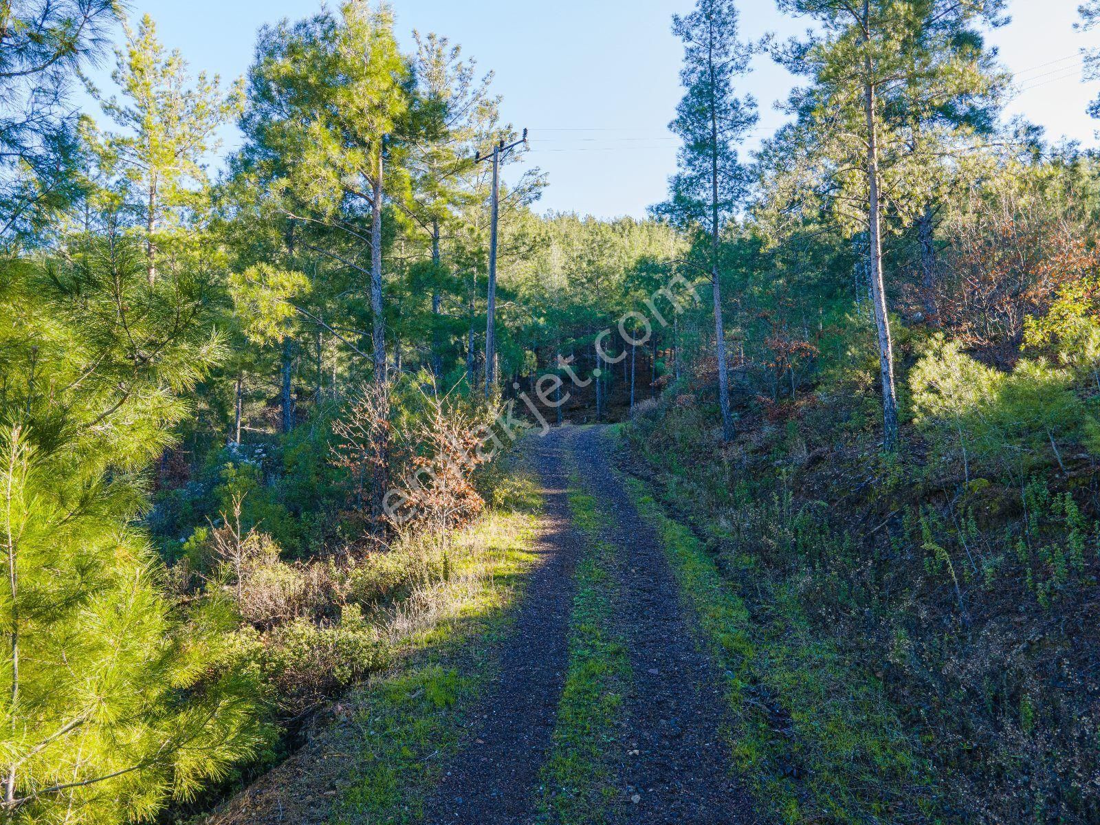 Alanya Fakırcalı Da Satılık Tarla - Görsel 4