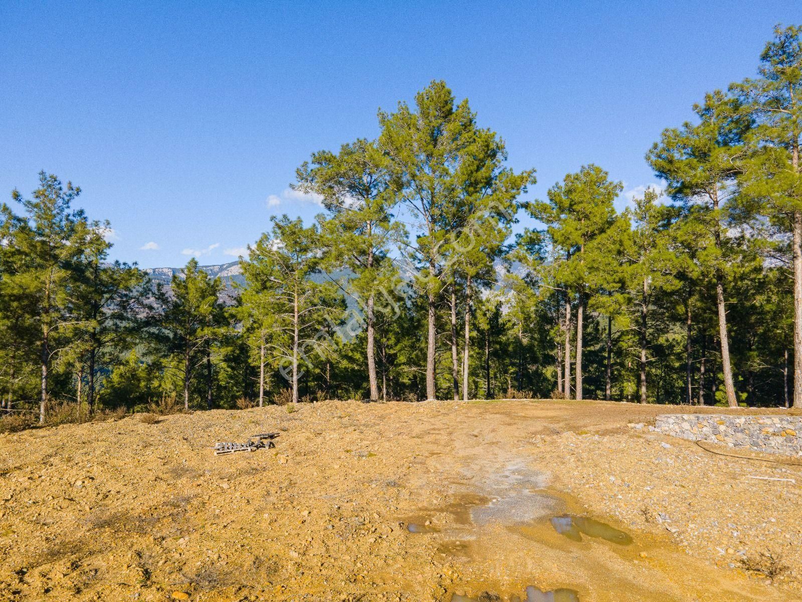 Alanya Fakırcalı Da Satılık Tarla