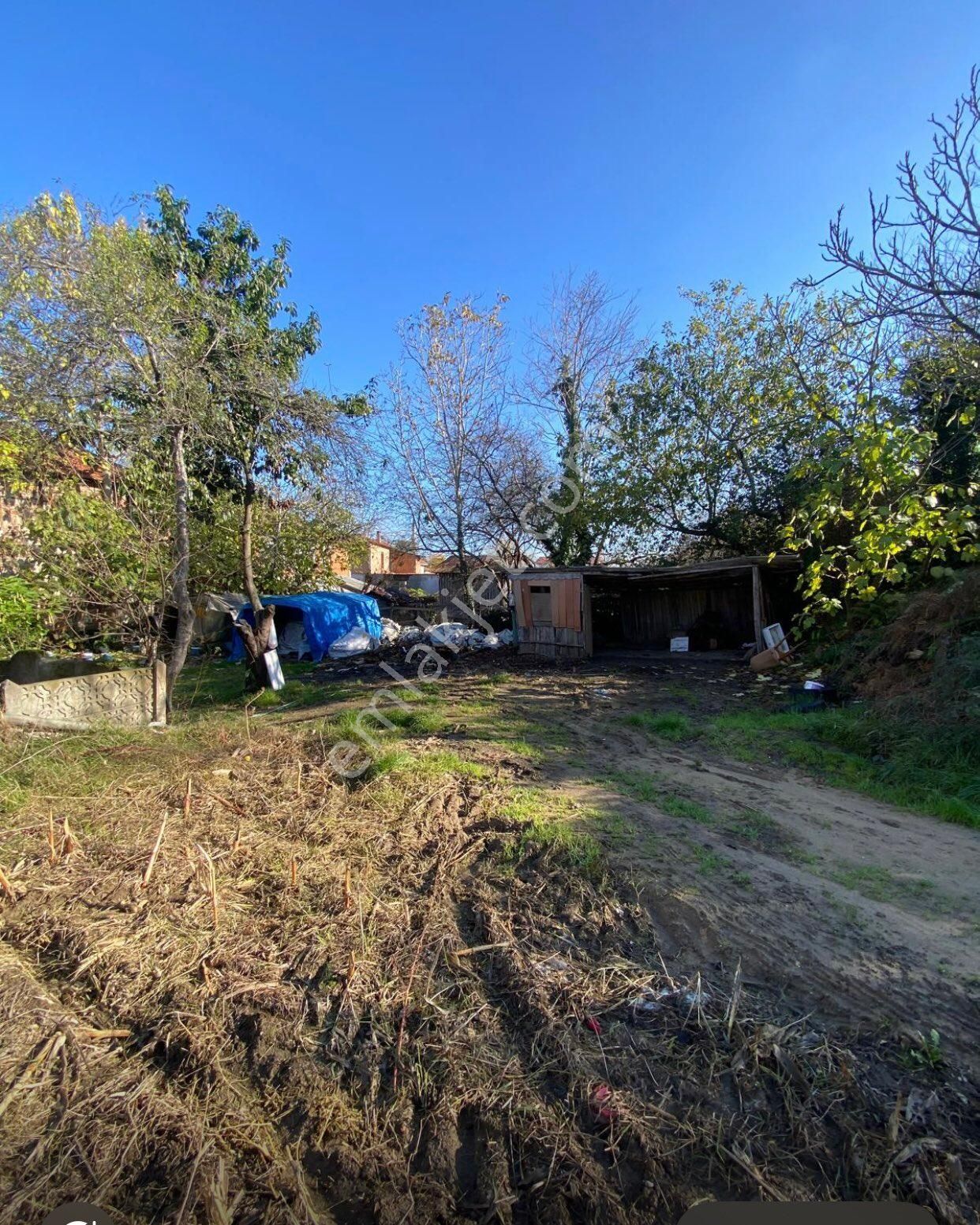 Sakarya Kocaali Alandere Mah - Görsel 9