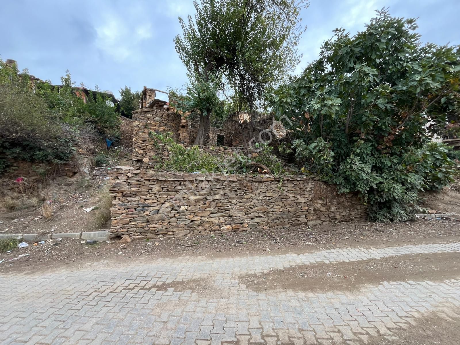 İzmir Bayındır Söğütören Satılık Taş Ev Ve Arsası - Görsel 9