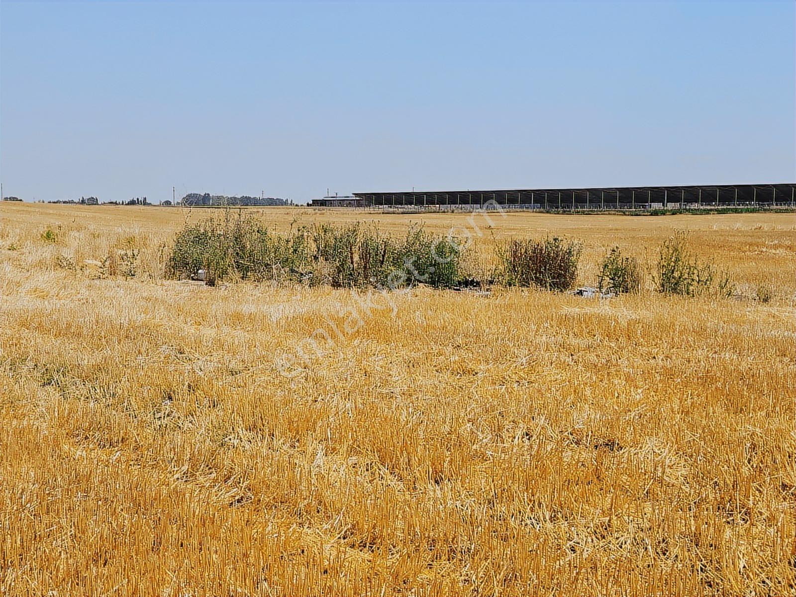 ️ Satılık 42.000 M² Tek Parça Tarla Merkeze Yakın, Su Kuyulu - Görsel 7