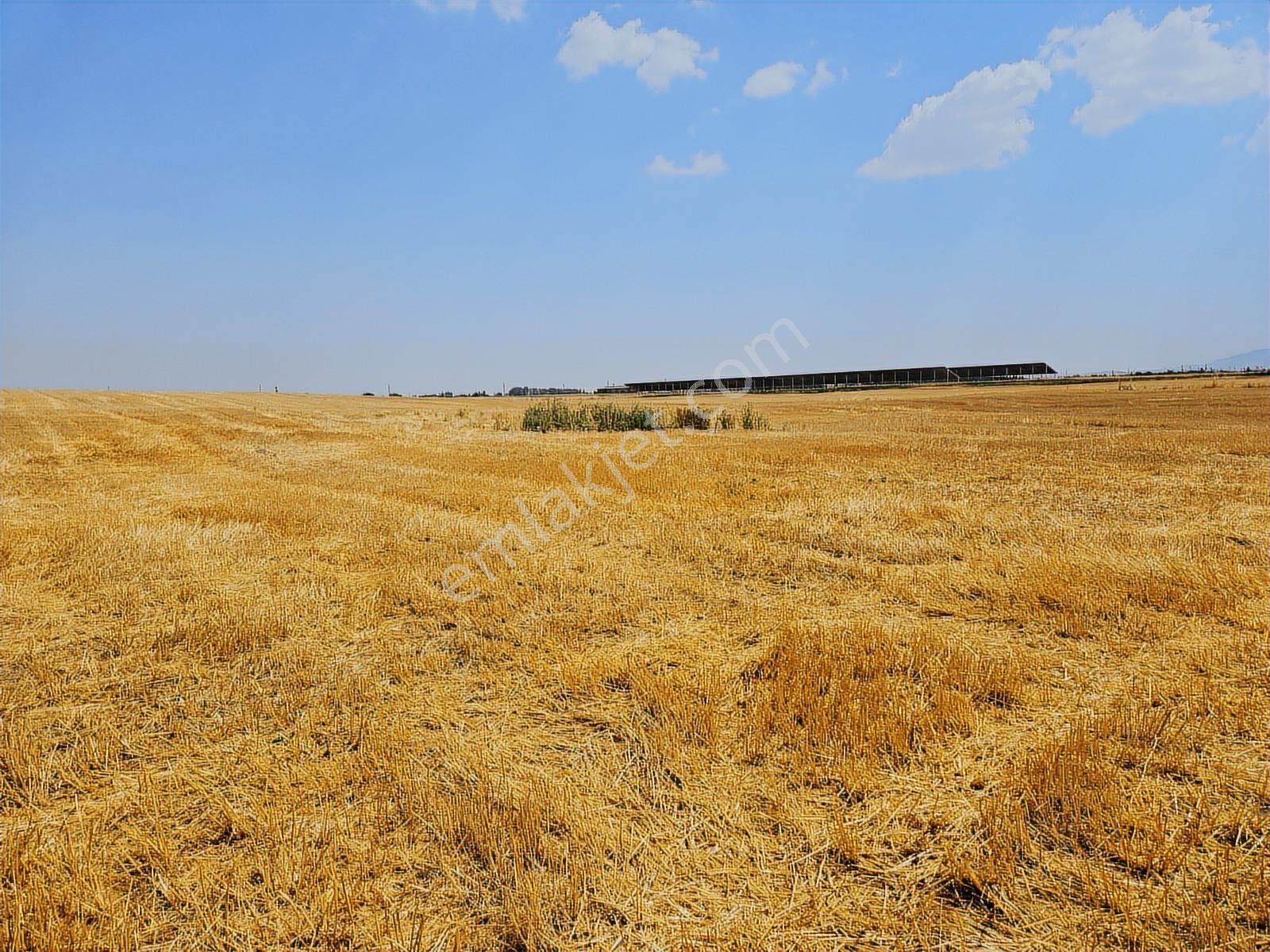 ️ Satılık 42.000 M² Tek Parça Tarla Merkeze Yakın, Su Kuyulu - Görsel 22