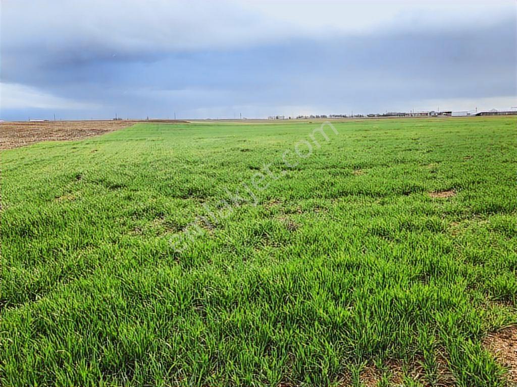 ️ Satılık 42.000 M² Tek Parça Tarla Merkeze Yakın, Su Kuyulu - Görsel 28