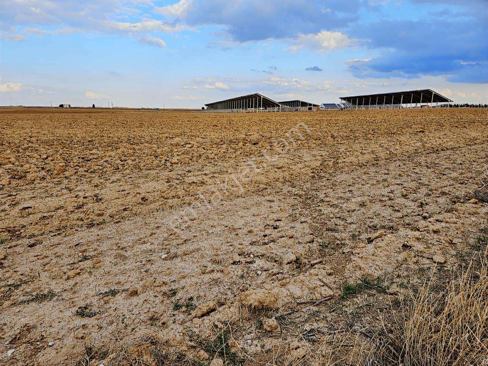 ️ Satılık 42.000 M² Tek Parça Tarla Merkeze Yakın, Su Kuyulu - Görsel 4