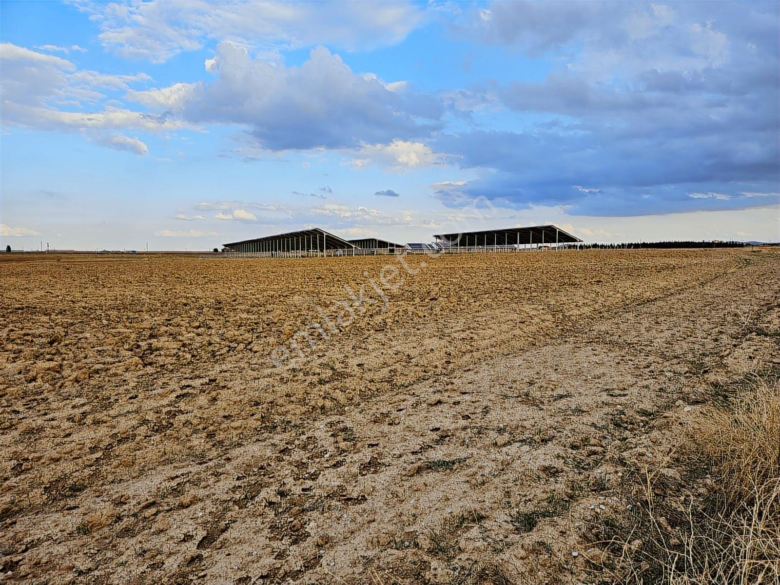 ️ Satılık 42.000 M² Tek Parça Tarla Merkeze Yakın, Su Kuyulu - Görsel 5