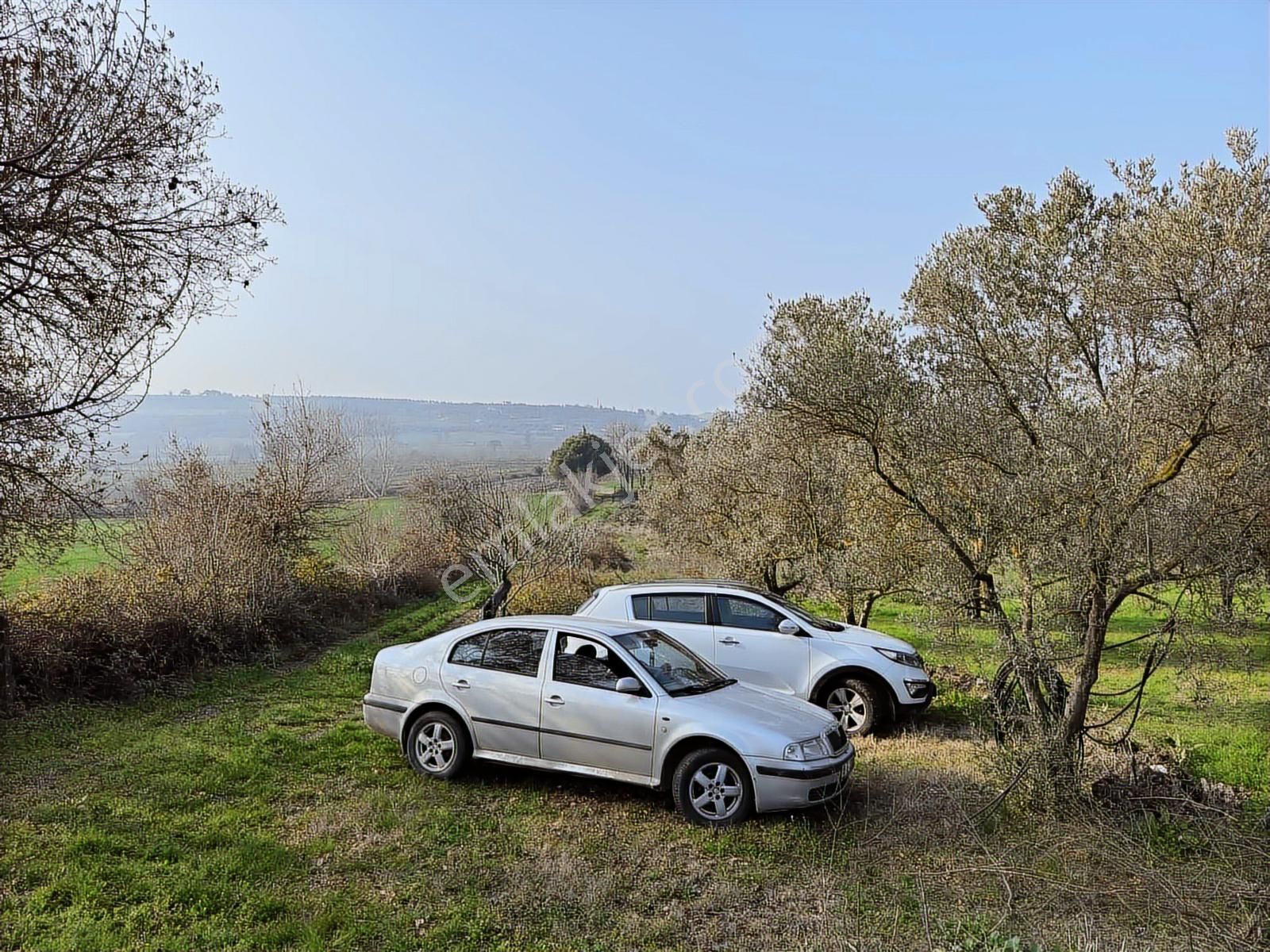 Akram'dan İkizcide Yapı Ruhsatlı Arazi - Görsel 9
