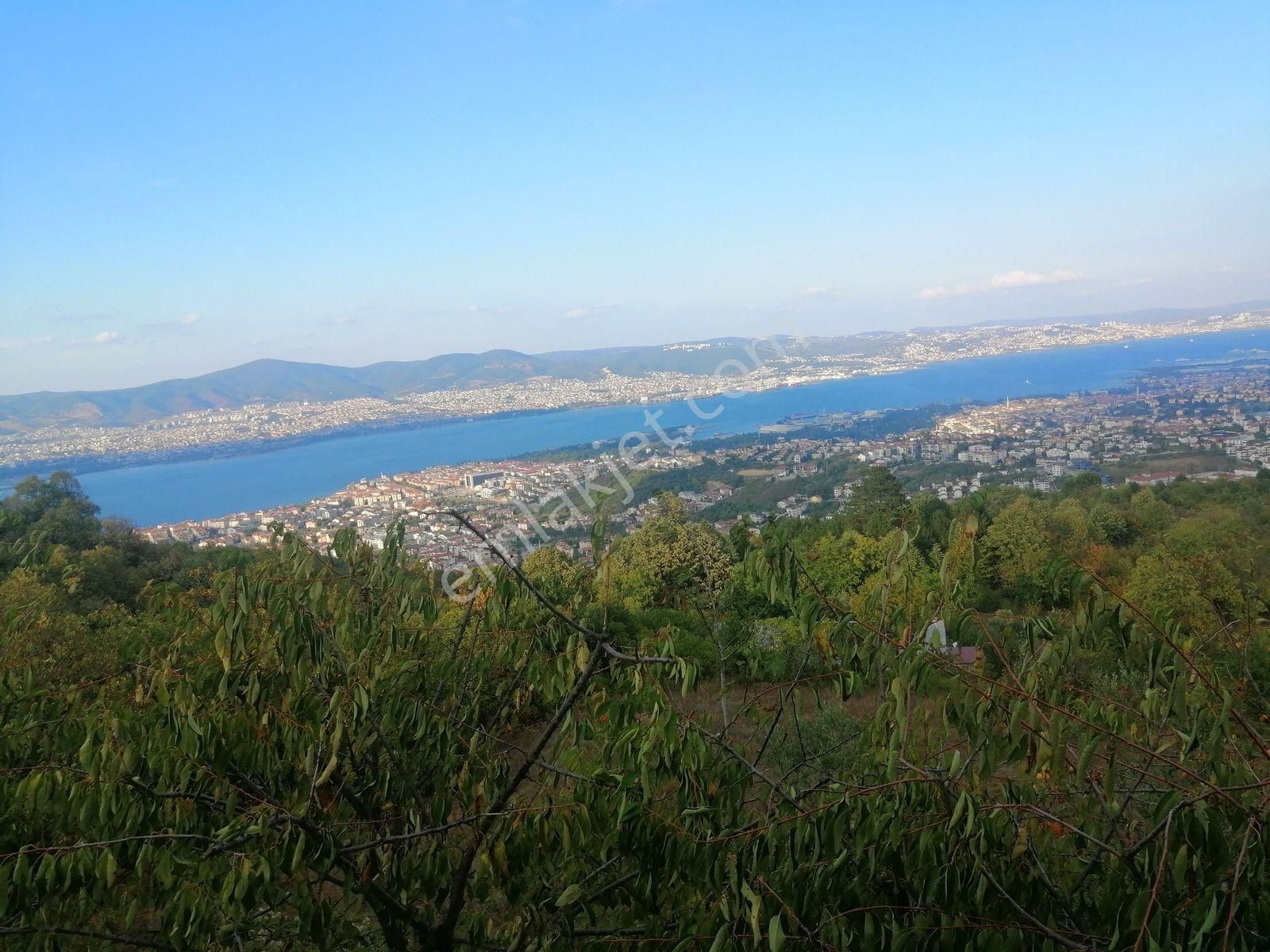 Çiftlik Tadında Geniş Arazisi Bulunan Müstakil Evimiz Satılıktır - Görsel 24