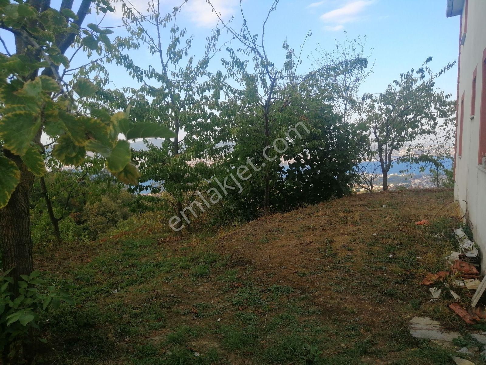 Çiftlik Tadında Geniş Arazisi Bulunan Müstakil Evimiz Satılıktır - Görsel 14