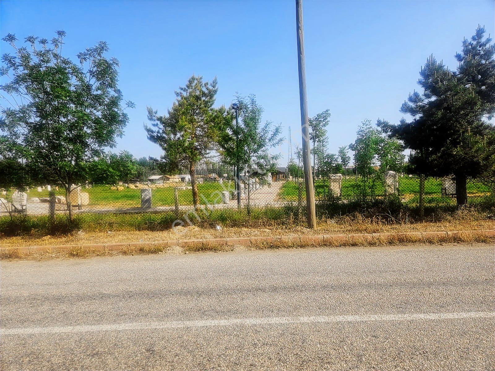 Satılık 6.312 M² Arsa Mesire Alanları İçinde, Anayola Cephe - Görsel 12