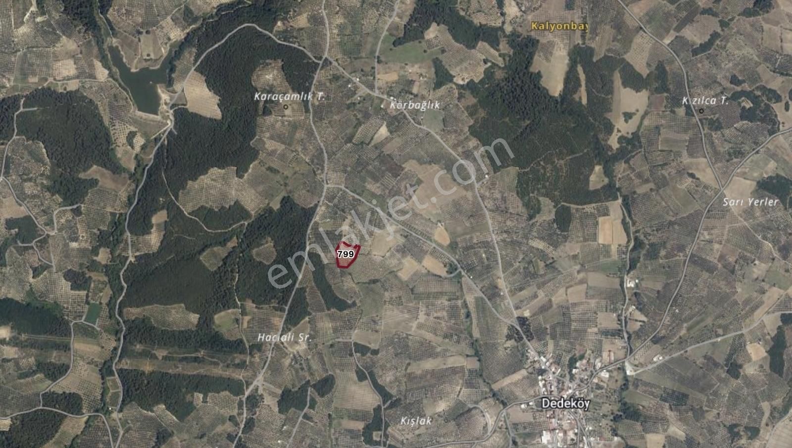 Bursa Mudanya Dedeköy Müstakil Tapulu Tarla - Görsel 5