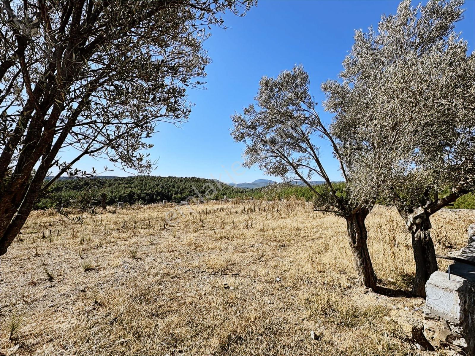 Menderes Yeniköy'de Takasa Açık 4.5 Dönüm Fırsat Arazi Yolu Açık - Görsel 17