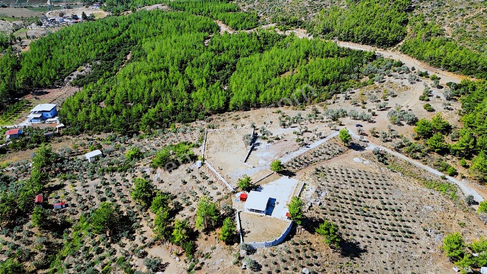 Menderes Yeniköy'de Takasa Açık 4.5 Dönüm Fırsat Arazi Yolu Açık - Görsel 14