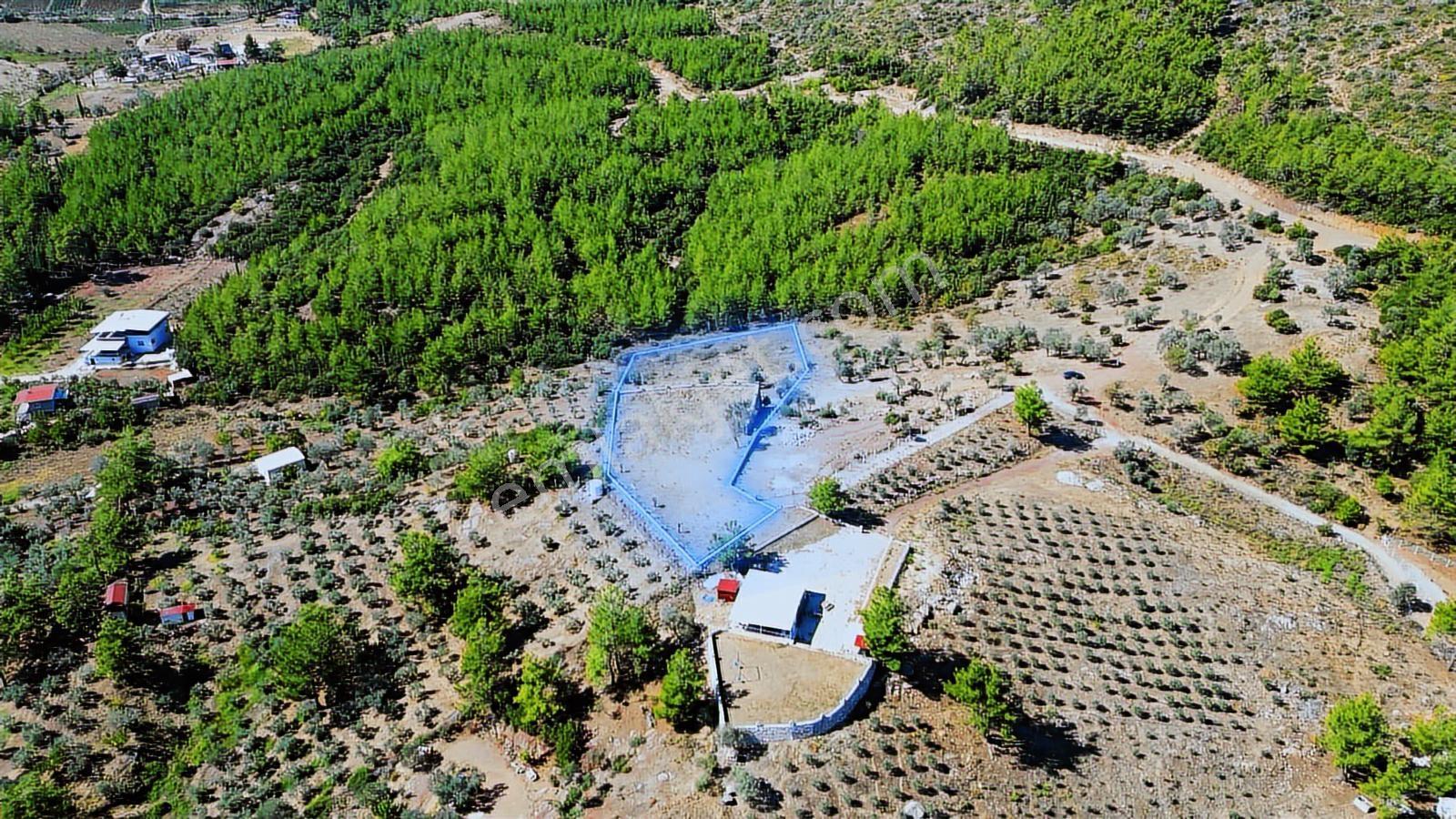Menderes Yeniköy'de Takasa Açık 4.5 Dönüm Fırsat Arazi Yolu Açık - Görsel 16