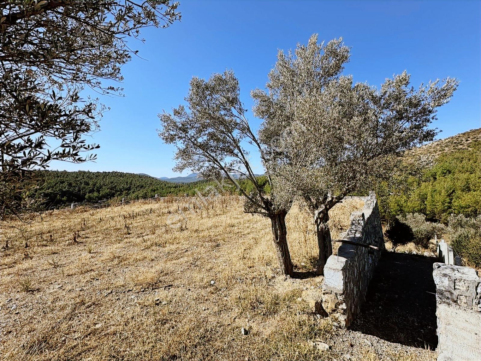 Menderes Yeniköy'de Takasa Açık 4.5 Dönüm Fırsat Arazi Yolu Açık - Görsel 22