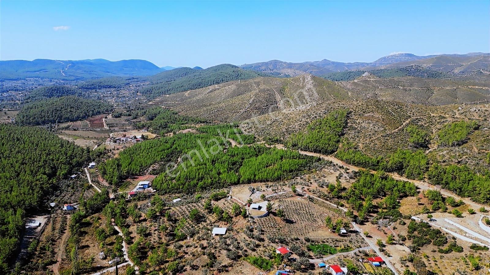 Menderes Yeniköy'de Takasa Açık 4.5 Dönüm Fırsat Arazi Yolu Açık - Görsel 15