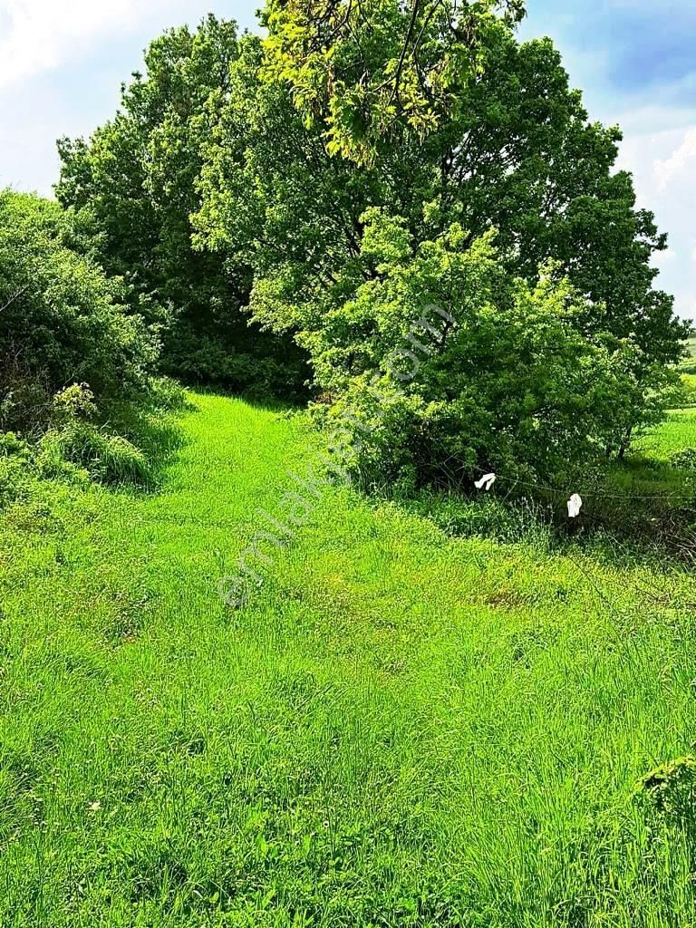 Biga Danışment Köyünde Satılık Tarla - Görsel 2