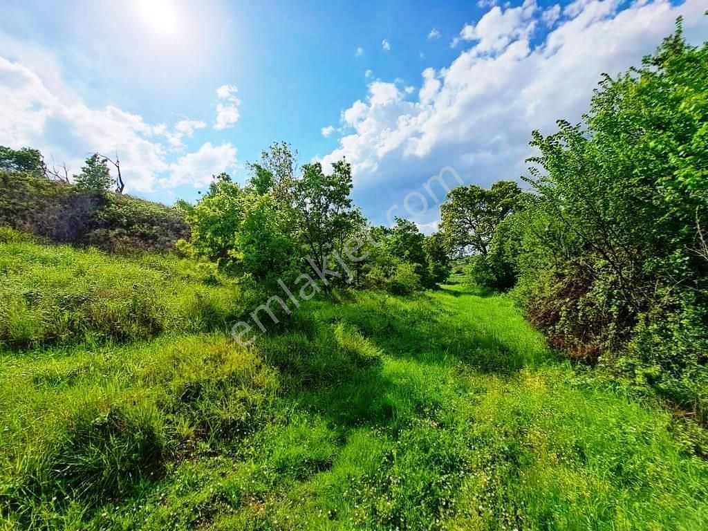 Biga Danışment Köyünde Satılık Tarla - Görsel 3