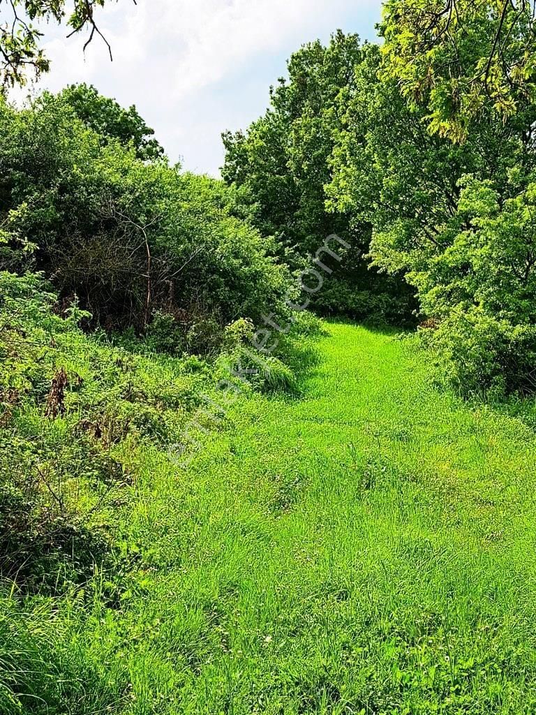 Biga Danışment Köyünde Satılık Tarla - Görsel 4