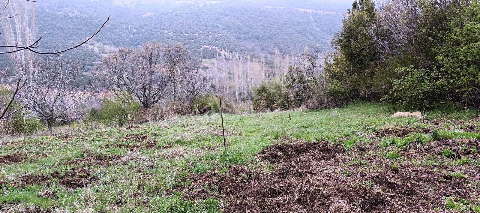 Başmakçı Çığrı Köyü İmarlı Arsa - Görsel 14