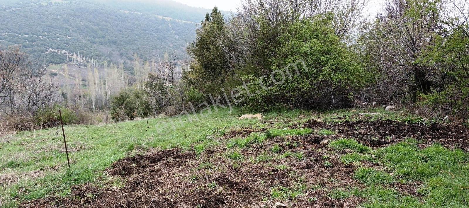 Başmakçı Çığrı Köyü İmarlı Arsa - Görsel 12